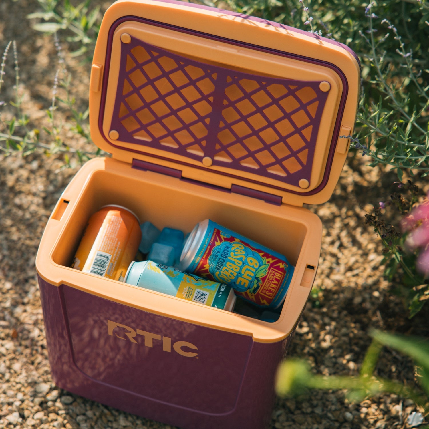 8 QT Road Trip Personal Cooler